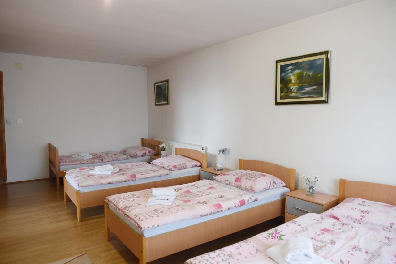 Prenociste Dzinic Hotel Жупаня Екстериор снимка